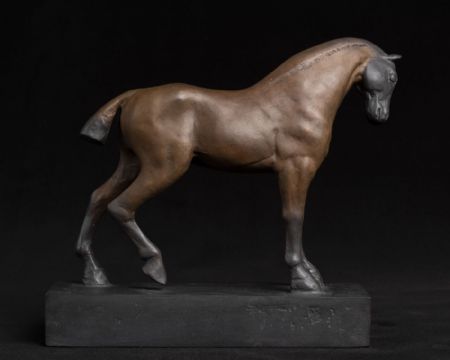 Horse by Donnacha Treacy