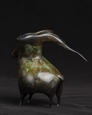Connemara Goat by Vadim  Tuzov