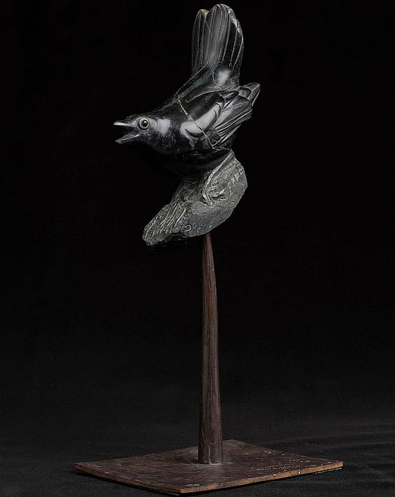 Blackbird by Donnacha Treacy