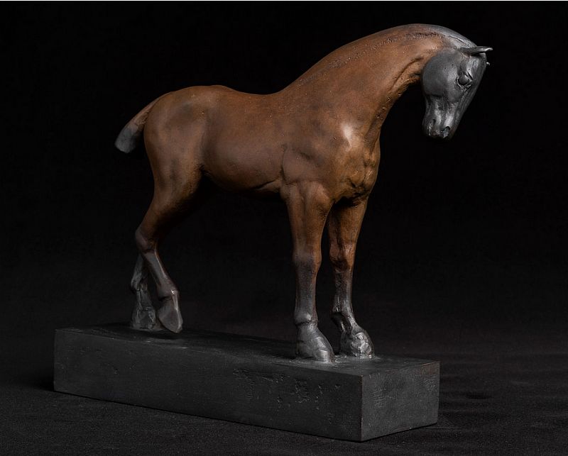 Horse by Donnacha Treacy